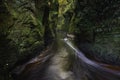 Devil& x27;s pulpit in Finnich glen near Glasgow, Scotland, UK Royalty Free Stock Photo