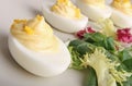 Deviled egg Royalty Free Stock Photo