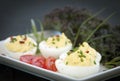 Deviled Eggs Royalty Free Stock Photo