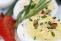 Deviled Eggs Royalty Free Stock Photo