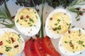 Deviled Eggs Royalty Free Stock Photo