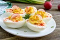 Deviled eggs. Delicious appetizer. Boiled eggs stuffed with yolk, mustard, mayonnaise, paprika. Royalty Free Stock Photo