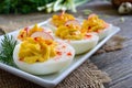 Deviled eggs. Delicious appetizer. Boiled eggs stuffed with yolk, mustard, mayonnaise, paprika. Royalty Free Stock Photo