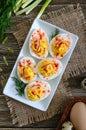 Deviled eggs. Delicious appetizer. Boiled eggs stuffed with yolk, mustard, mayonnaise, paprika. Classic recipe. Royalty Free Stock Photo