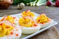 Deviled eggs. Delicious appetizer. Boiled eggs stuffed with yolk, mustard, mayonnaise, paprika. Royalty Free Stock Photo