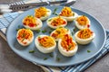 Deviled Eggs on a grey plate with napkin Royalty Free Stock Photo