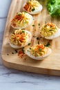 Deviled Eggs Paprika Royalty Free Stock Photo