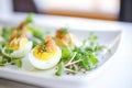 deviled eggs with a side of green salad