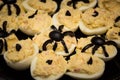 Deviled eggs with a Spider for Halloween party Royalty Free Stock Photo