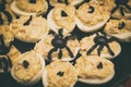 Deviled eggs with a Spider for Halloween party Royalty Free Stock Photo