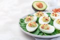 Deviled eggs stuffed with avocado, egg yolk and mayonnaise filling, garnished with bacon, on spinach leaves, horizontal copy space Royalty Free Stock Photo