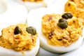 Deviled Eggs with Tuna Royalty Free Stock Photo