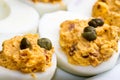 Deviled Eggs with Tuna Royalty Free Stock Photo