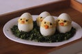 Devilled egg chicks prepared as Easter Eggs. Traditional celebration of making eggs as the symbol of new life and resurrection Royalty Free Stock Photo