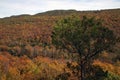 Devils' Den State Park Overlook