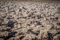 Devils golf course death valley national park Royalty Free Stock Photo