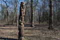 Devils idol carved from tree in the sunny forest
