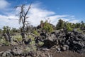 Devils Orchard trail in Craters of the Moon National Monument near Arco, Idaho. Desert sagebrush and volcanic rock