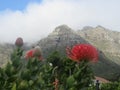 Devils Peak South Africa