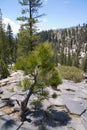 Devils Postpile Royalty Free Stock Photo