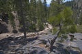 Devils Postpile Royalty Free Stock Photo