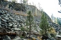 Devils Postpile National Monument in the morning light Royalty Free Stock Photo