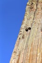 Devils Tower rock formations natural background.