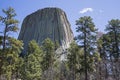 Devils tower volcanic rock woods historical monument Royalty Free Stock Photo