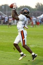 devin hester, chicago bears Royalty Free Stock Photo