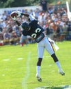 Devin Hester, Chicago Bears Royalty Free Stock Photo