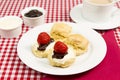 Devon cream tea Royalty Free Stock Photo