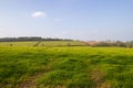 Devon farm land in winter with muddy tracks, green grass