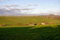 Devon farm land in winter with muddy tracks, green grass