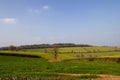 Devon farm land in winter with muddy tracks, green grass, hills