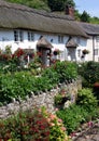 Devon thatch Royalty Free Stock Photo