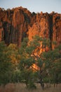 Devonian limestone cliffs of the Napier Range at Windjana Gorge, Kimberley. Western Australia