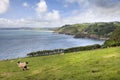 Devonshire coastline in Summer Royalty Free Stock Photo