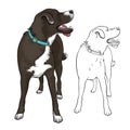 A Devoted Dog Looks At The Owner. Dog With Collar. Vector Illustration