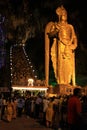 A devotee in the Hindu festival of Thaipusam.