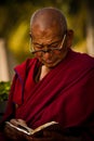 A Devotee of Mahabodhi Temple, Bodh Gaya, India