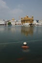 A devotee in nectar pool of Golden Temple Royalty Free Stock Photo