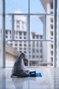 Devout Muslim woman reading the Quran Royalty Free Stock Photo