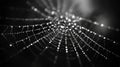 Dew-Covered Spider Web with Bokeh Background