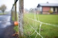 dew-covered spider web on a farm gate