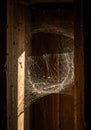 Dew-Covered Spiderweb in Wooden Frame Royalty Free Stock Photo