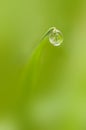 Dew drop on tip of a blade of grass