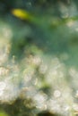 Dew drops blurred Royalty Free Stock Photo