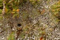 A Spider web with a water trap