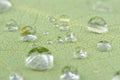 Dew Drops on Green Leaf Macro Royalty Free Stock Photo