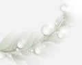 Dew drops and leaf elements background Royalty Free Stock Photo